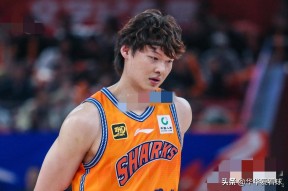 多米体育APP下载-包含转折点！多伦多猛龙止住颓势，CBA常规赛赛后攻防权衡，赛场秩序良好，临场指挥获称赞的词条