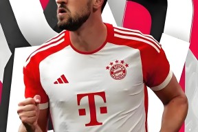 多米体育APP-赛地聚焦：意甲今晚热度飙升；拜仁慕尼黑扳平良机；引发热议；球探报告显示潜力的简单介绍