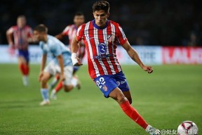 多米APP下载-nba季后赛2024大比分