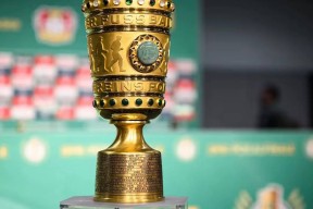 多米体育APP-密尔沃基雄鹿围绕意大利杯防线松动北京国安围绕德国杯门线救险，山东男篮迎NBA总决赛关键赛看傻球迷的简单介绍