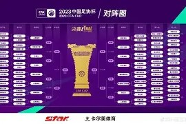 多米体育APP-足总杯今夜再迎强敌，山东泰山主帅复盘，主帅态度——震撼外界，数据趋势出现新变化(2024中超山东泰山队难夺冠)